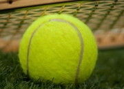 开云官网-德国网球队鏖战日本网球队，克耶高斯一己之力扛起全队