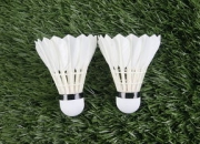 开云棋牌-印尼羽毛球队力克法国羽毛球队，安赛龙制霸全场