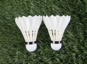 开云棋牌-印尼羽毛球队力克法国羽毛球队，安赛龙制霸全场