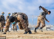 游戏试玩模拟器-全队备战，备战迎接挑战