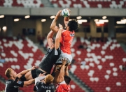 开云棋牌-切特完美发挥铸就战术支点，尼克斯末节逆转映衬太阳光芒下的暗影