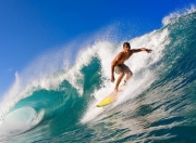 开云官网-福克斯闪耀全场，广厦闪电战速胜雄鹿，展现团队篮球新高度