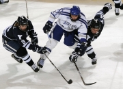 游戏试玩模拟器-黄蜂关键战突围太阳，杰伦格林防守端锁死对手