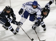 开云棋牌官方-绝境重生，凯尔特人抢七逆转骑士，铸就季后赛史诗