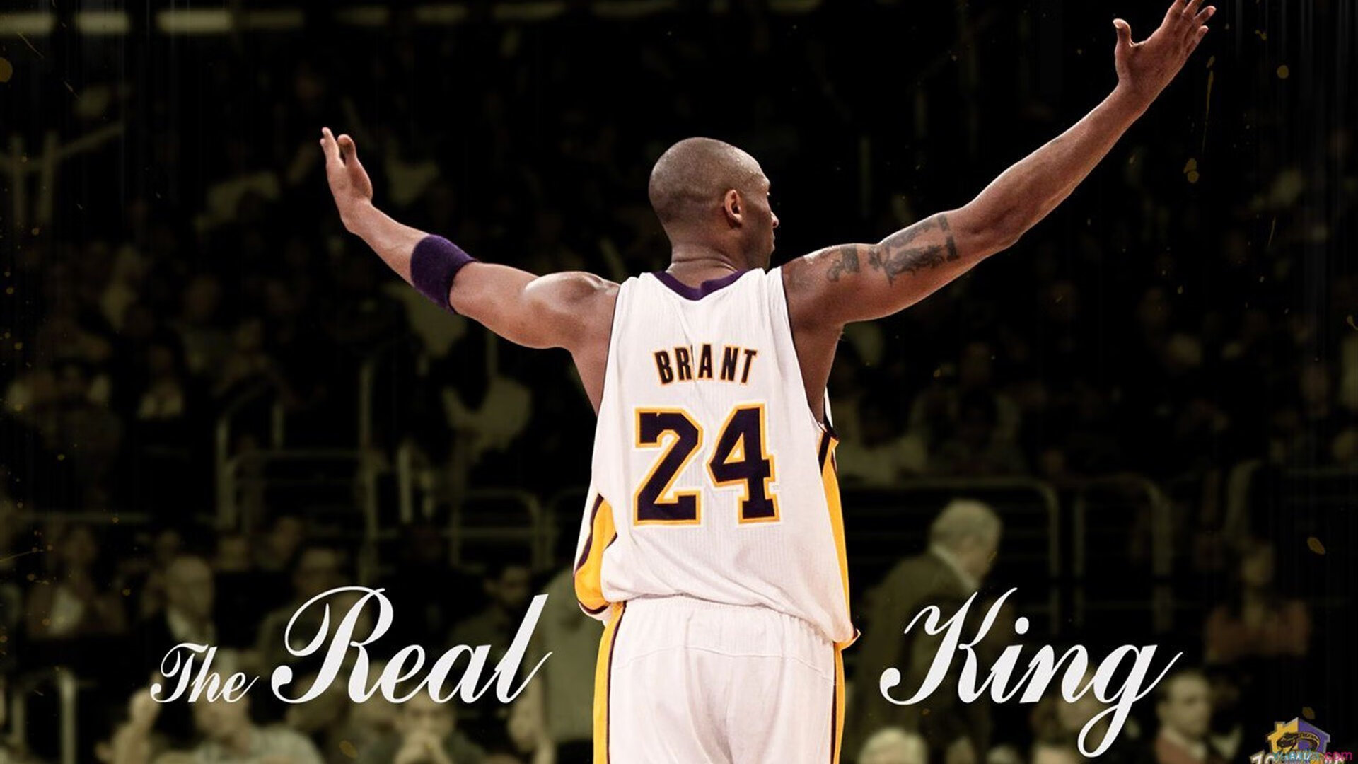 逆转的艺术，从拉沃尔杯到澳网，蒂姆如何用翻盘定义统治力